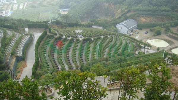 JDB电子·(中国区)试玩平台-JDB电子游戏官网