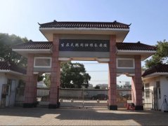 微刷新，，，，，，为老墓园增添一抹新“绿”