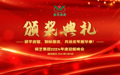 2024年jdb电子集团迎新春年会暨颁奖仪式盛放纵行