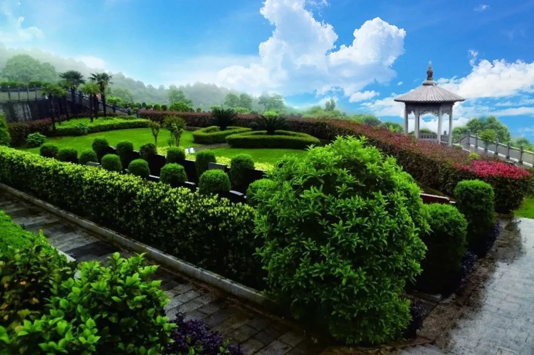 JDB电子·(中国区)试玩平台-JDB电子游戏官网