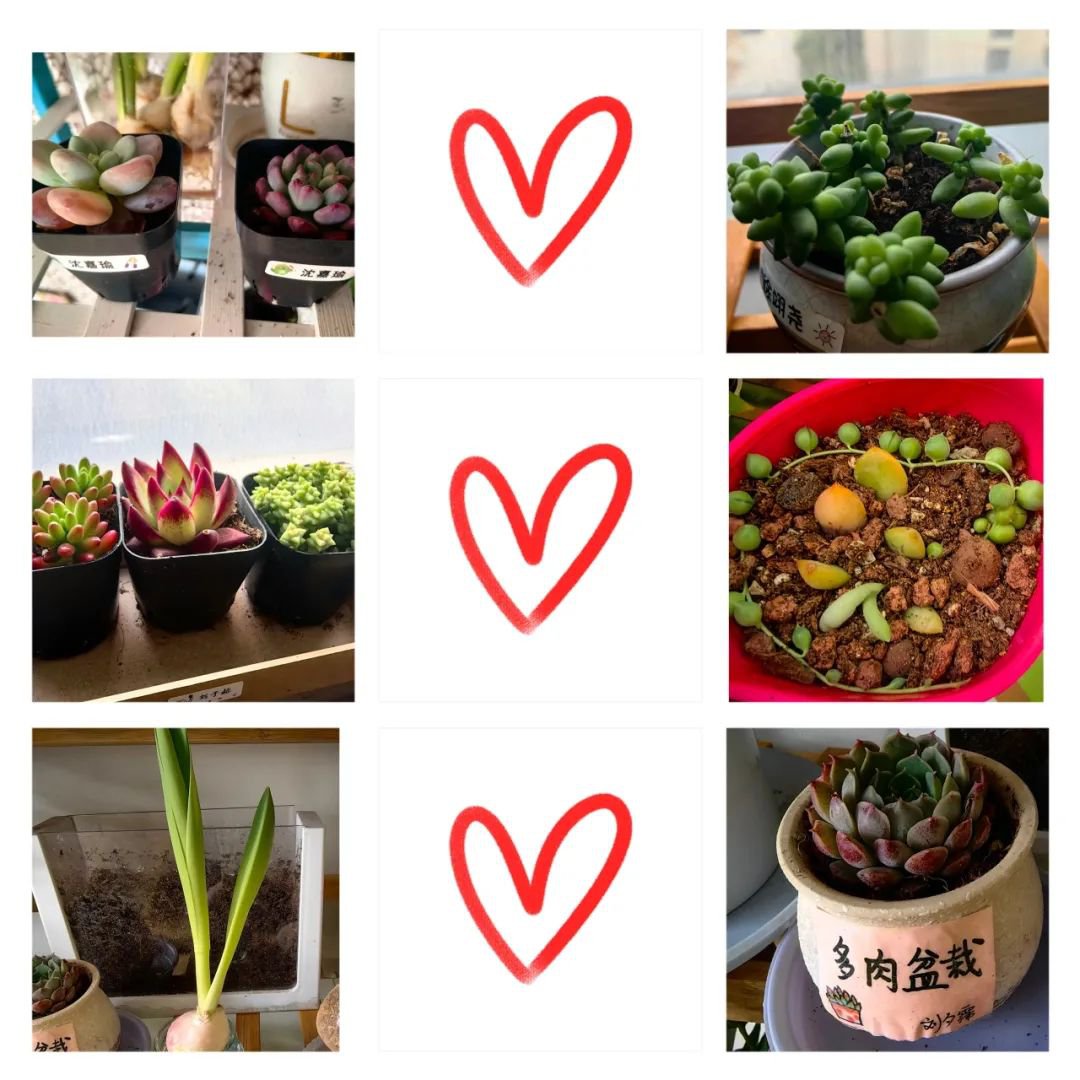 JDB电子·(中国区)试玩平台-JDB电子游戏官网