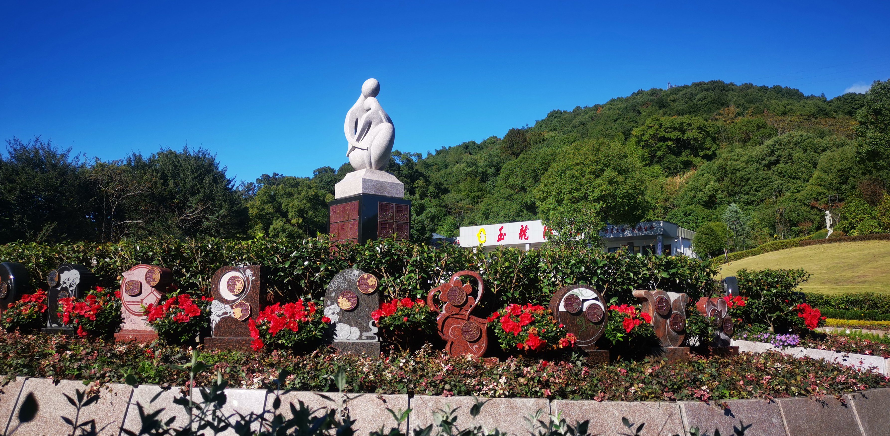 未来，，，，生态葬或将成为主流