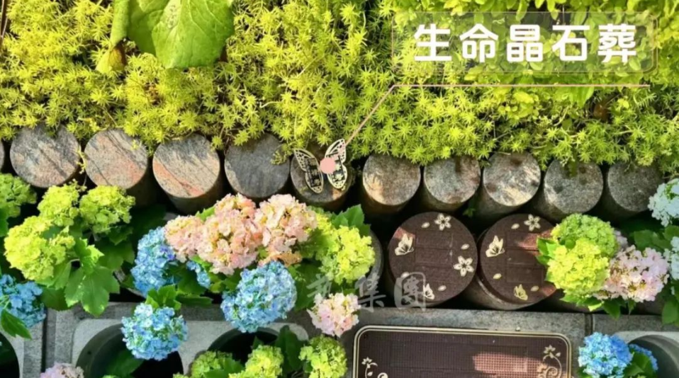 JDB电子·(中国区)试玩平台-JDB电子游戏官网