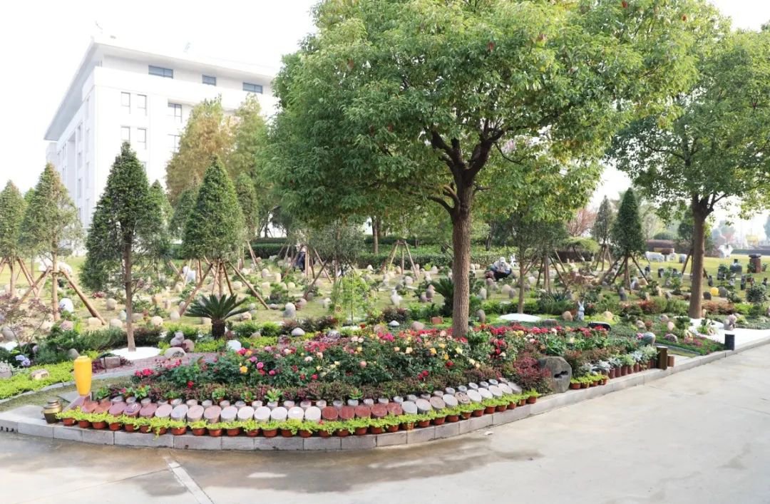 JDB电子·(中国区)试玩平台-JDB电子游戏官网