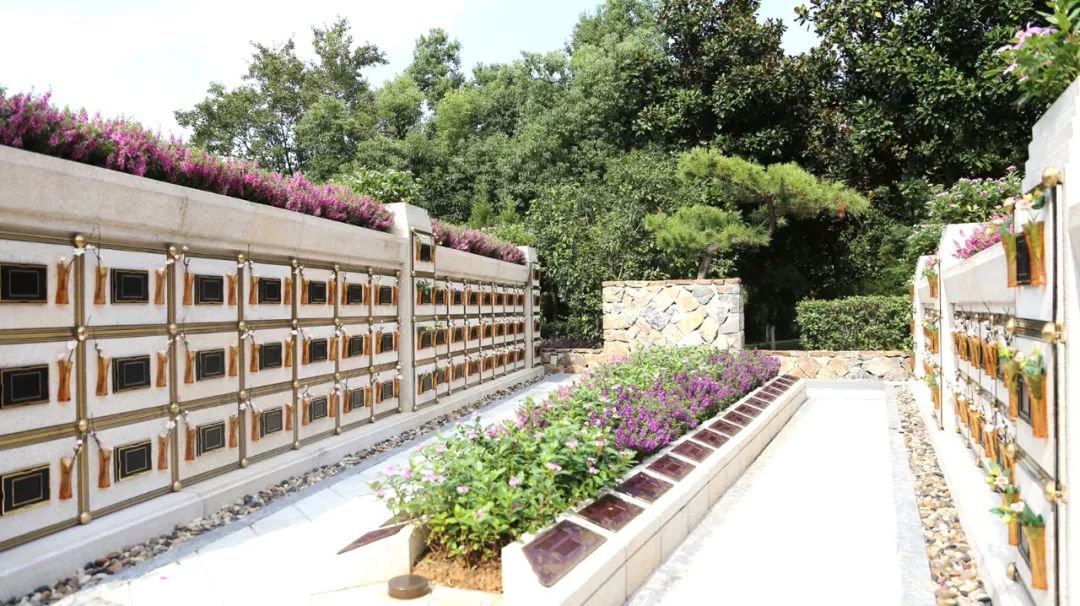 <b>在合肥大蜀山文化陵园，，，，，与生命温柔对话</b>