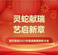 灵蛇献瑞 艺启新章 | jdb电子集团2025年度盛典暨表扬大会