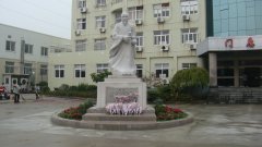 石雕匠心，，，，，镌刻医者风华